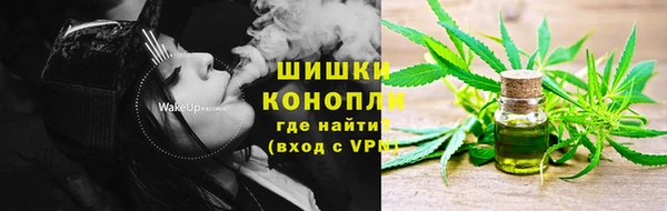 МДПВ Нефтегорск
