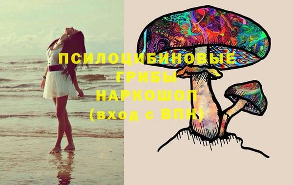 каннабис Нефтекумск