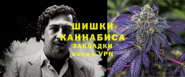 МДПВ Нефтегорск