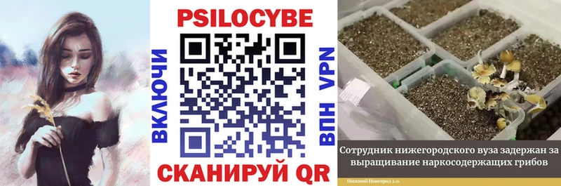 мориарти клад  Приволжский  Псилоцибиновые грибы прущие грибы 